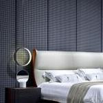 Purva Northern Lights