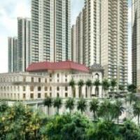 Purva Northern Lights