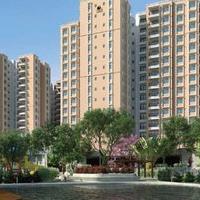 Prestige Southern Star